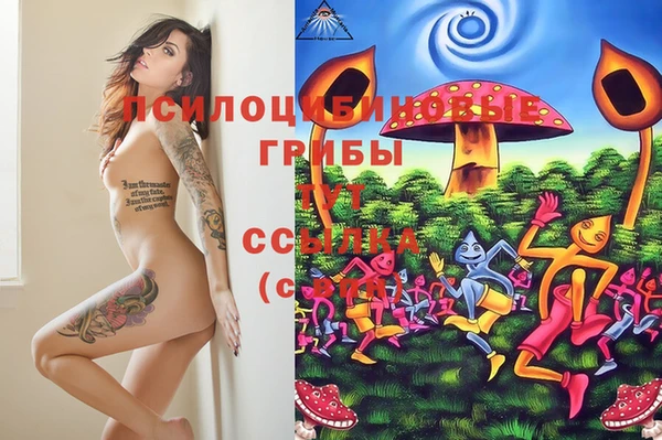 марки nbome Алзамай